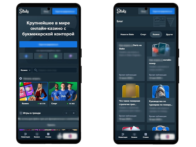 Главная страница и тематический раздел